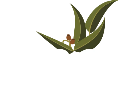 Hills Sustainable Gardens